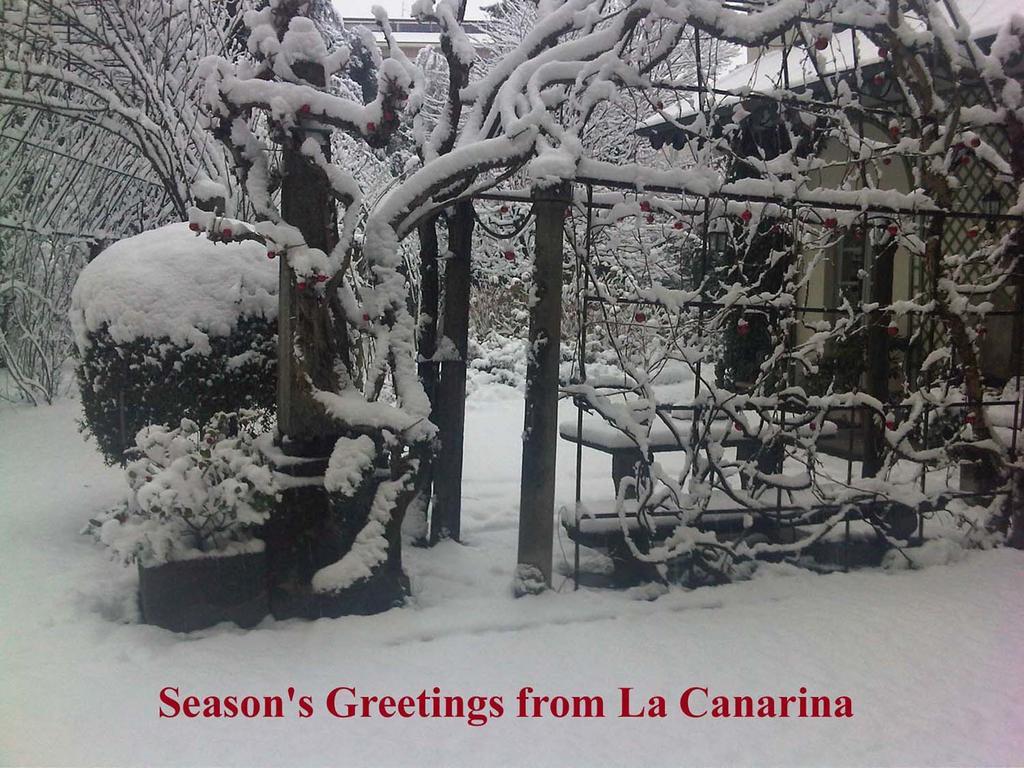 La Canarina Bed & Breakfast Комо Екстериор снимка